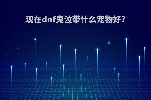 现在dnf鬼泣带什么宠物好?