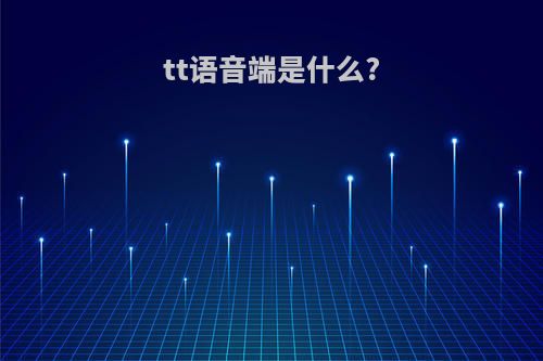 tt语音端是什么?