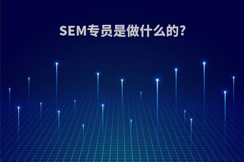 SEM专员是做什么的?