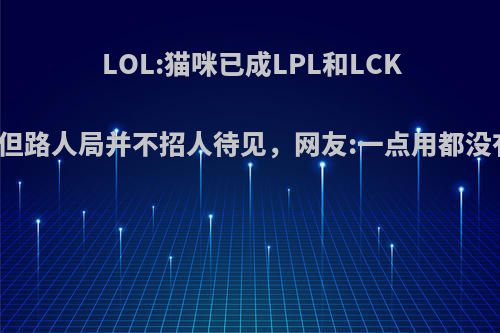 LOL:猫咪已成LPL和LCK最强辅助，但路人局并不招人待见，网友:一点用都没有，为什么?