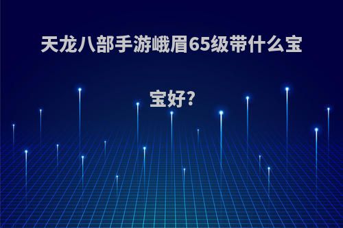 天龙八部手游峨眉65级带什么宝宝好?