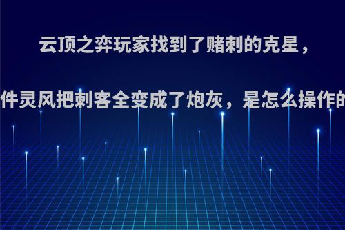 云顶之弈玩家找到了赌刺的克星，一件灵风把刺客全变成了炮灰，是怎么操作的?