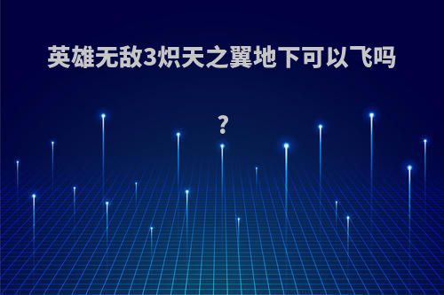 英雄无敌3炽天之翼地下可以飞吗?