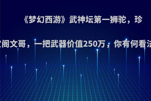 《梦幻西游》武神坛第一狮驼，珍宝阁文哥，一把武器价值250万，你有何看法?