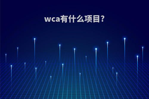 wca有什么项目?