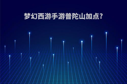 梦幻西游手游普陀山加点?