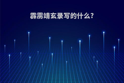 霹雳靖玄录写的什么?