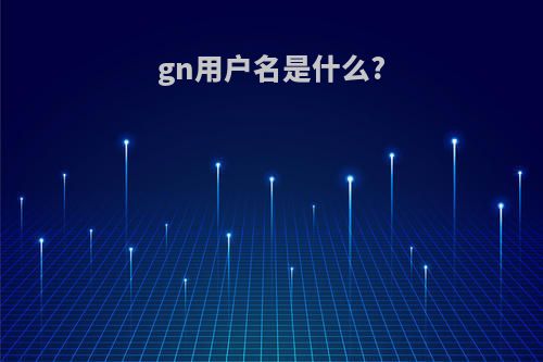 gn用户名是什么?