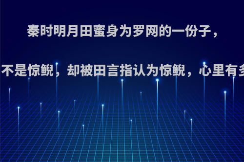 秦时明月田蜜身为罗网的一份子，明明不是惊鲵，却被田言指认为惊鲵，心里有多苦?