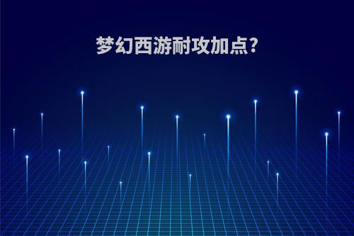 梦幻西游耐攻加点?