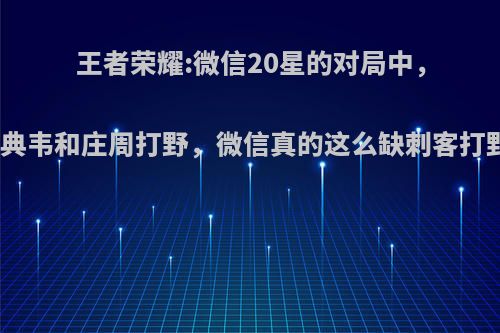 王者荣耀:微信20星的对局中，双方典韦和庄周打野，微信真的这么缺刺客打野吗?