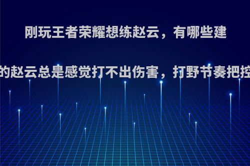 刚玩王者荣耀想练赵云，有哪些建议?我的赵云总是感觉打不出伤害，打野节奏把控不好?