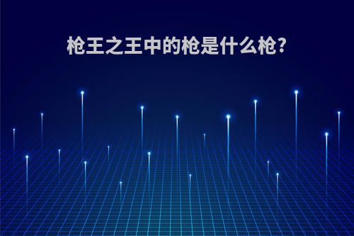 枪王之王中的枪是什么枪?