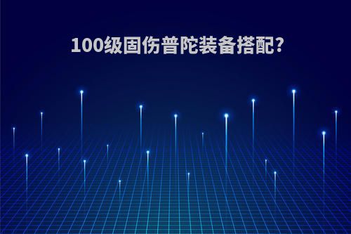 100级固伤普陀装备搭配?