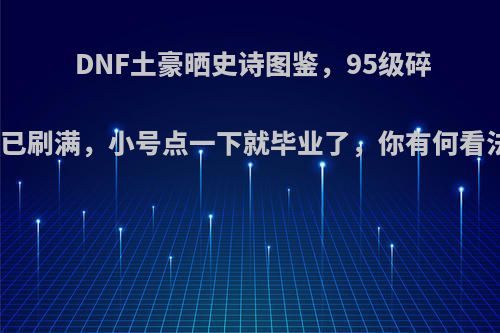 DNF土豪晒史诗图鉴，95级碎片已刷满，小号点一下就毕业了，你有何看法?