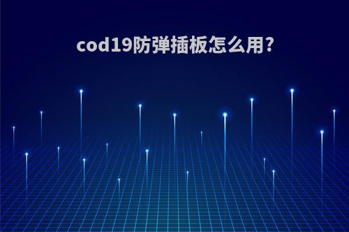 cod19防弹插板怎么用?