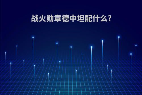 战火勋章德中坦配什么?