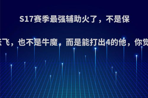 S17赛季最强辅助火了，不是保人王张飞，也不是牛魔，而是能打出4的他，你觉得呢?