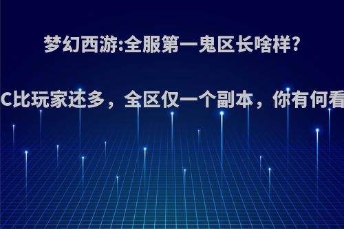 梦幻西游:全服第一鬼区长啥样?NPC比玩家还多，全区仅一个副本，你有何看法?