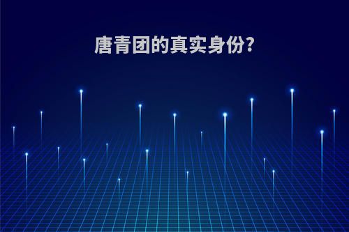 唐青团的真实身份?