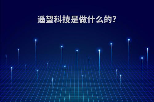 遥望科技是做什么的?