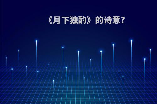 《月下独酌》的诗意?