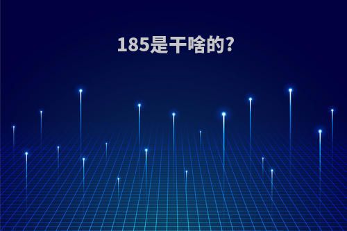 185是干啥的?