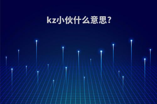 kz小伙什么意思?