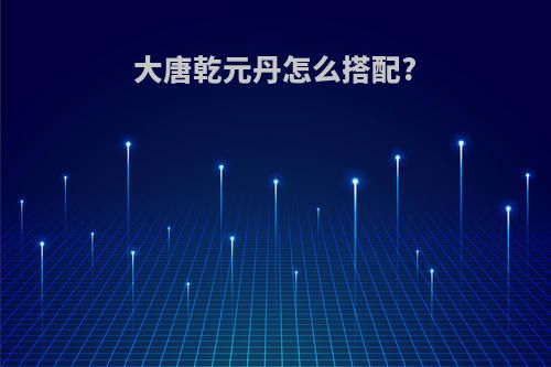 大唐乾元丹怎么搭配?