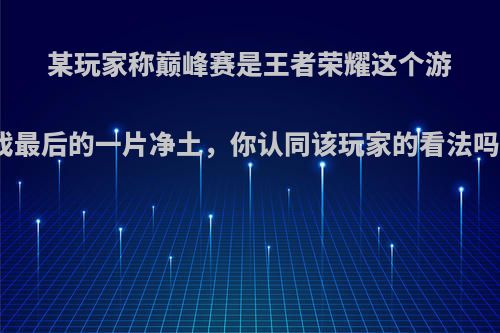 某玩家称巅峰赛是王者荣耀这个游戏最后的一片净土，你认同该玩家的看法吗?