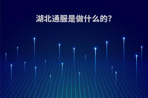湖北通服是做什么的?