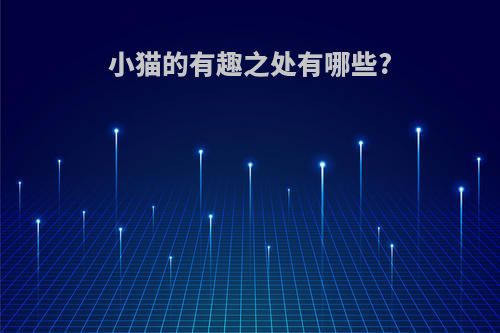 小猫的有趣之处有哪些?