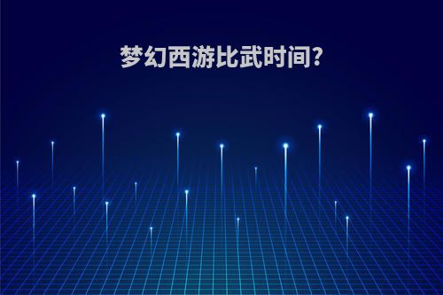 梦幻西游比武时间?