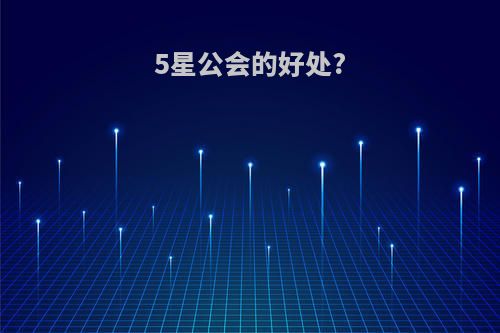 5星公会的好处?