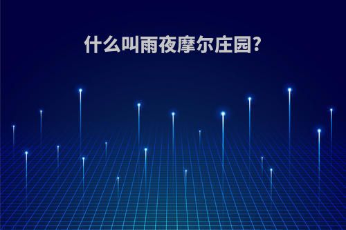什么叫雨夜摩尔庄园?