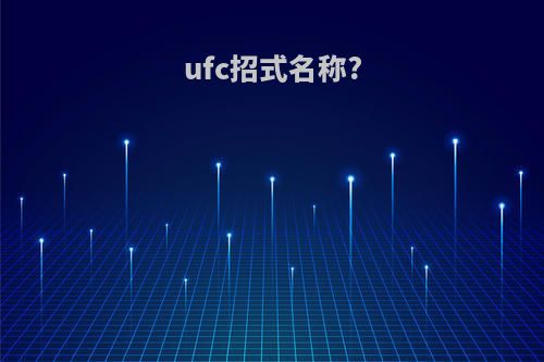ufc招式名称?