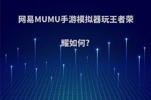 网易MUMU手游模拟器玩王者荣耀如何?