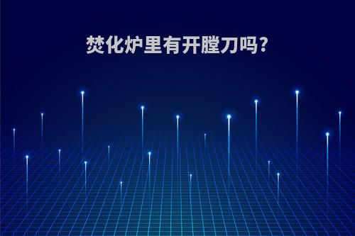 焚化炉里有开膛刀吗?
