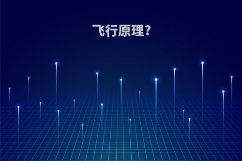 飞行原理?