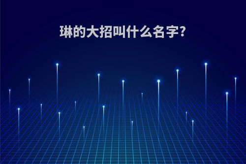 琳的大招叫什么名字?