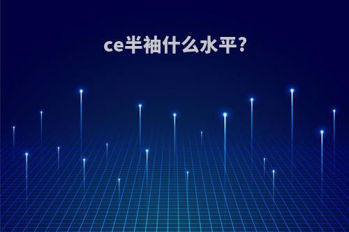 ce半袖什么水平?