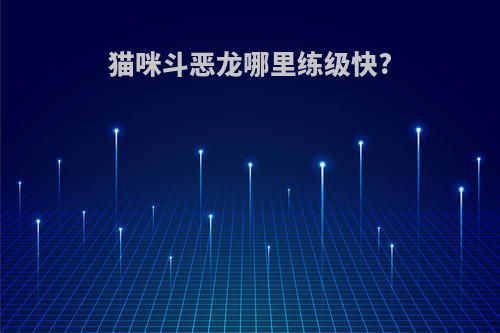 猫咪斗恶龙哪里练级快?