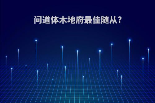 问道体木地府最佳随从?