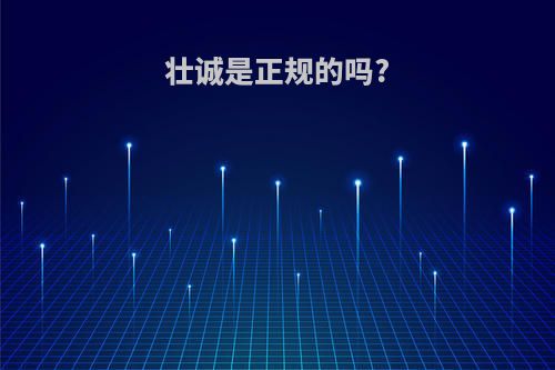 壮诚是正规的吗?