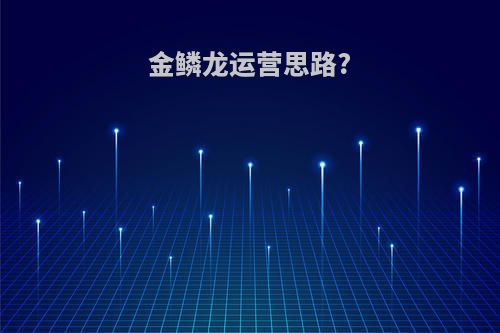 金鳞龙运营思路?