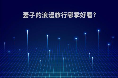妻子的浪漫旅行哪季好看?