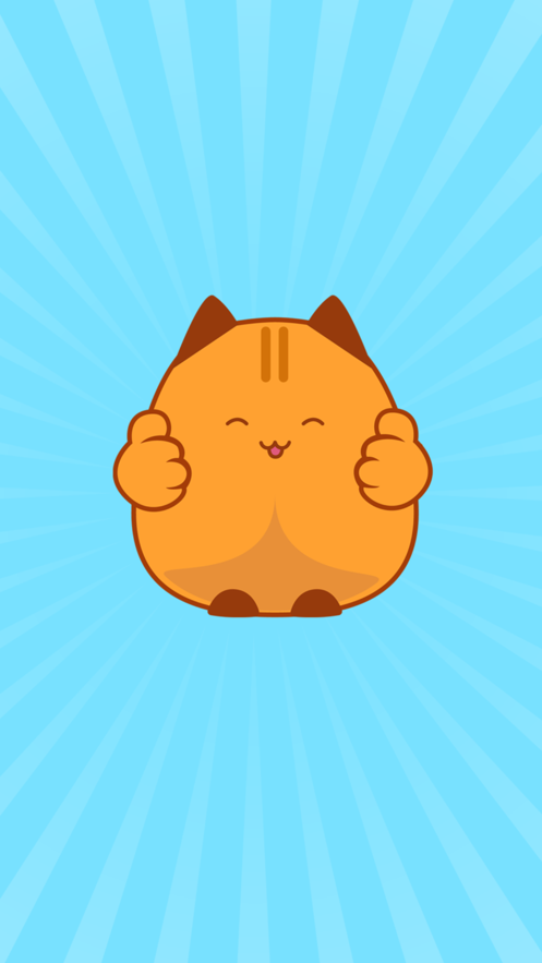 猫记忆训练