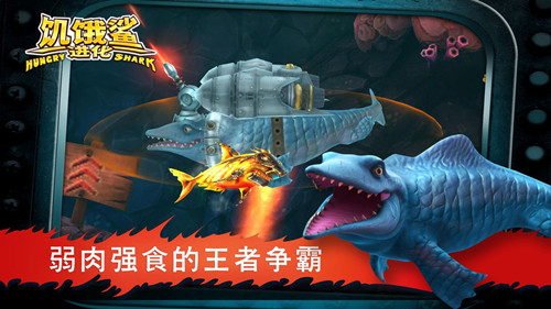 饥饿鲨进化大王乌贼