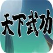 天下武功