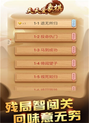 天天爱象棋